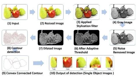 Fruit recognition from images using deep learning applications.